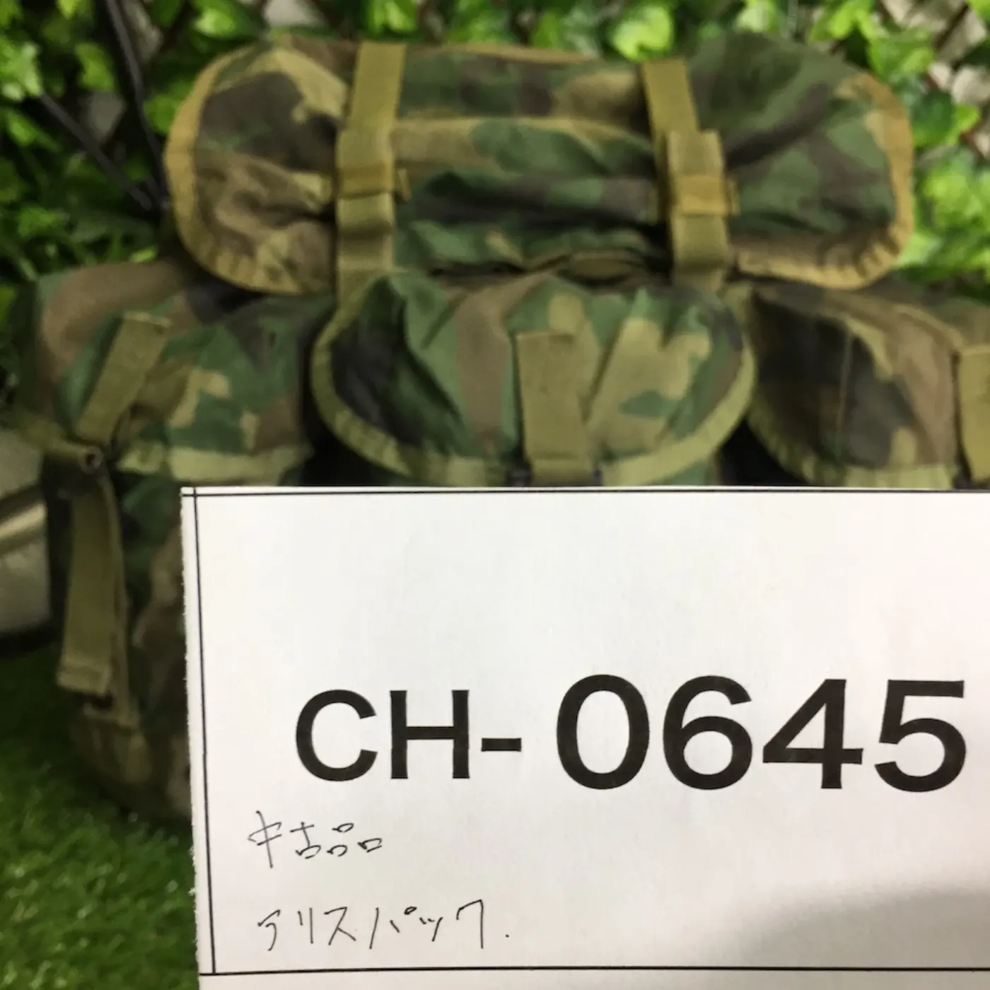 LC-2 アリスパック 中古品 記録写真12