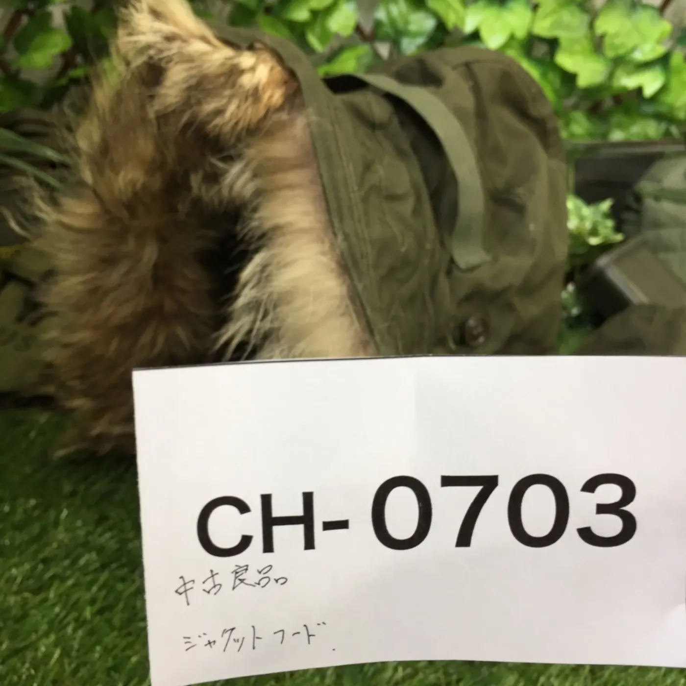 M-1951 コヨーテファー ジャケットフード 中古良品 記録写真7