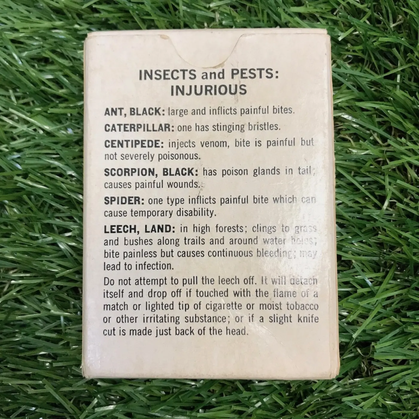 SURVIVAL CARDS サバイバルカード 中古良品 記録写真3