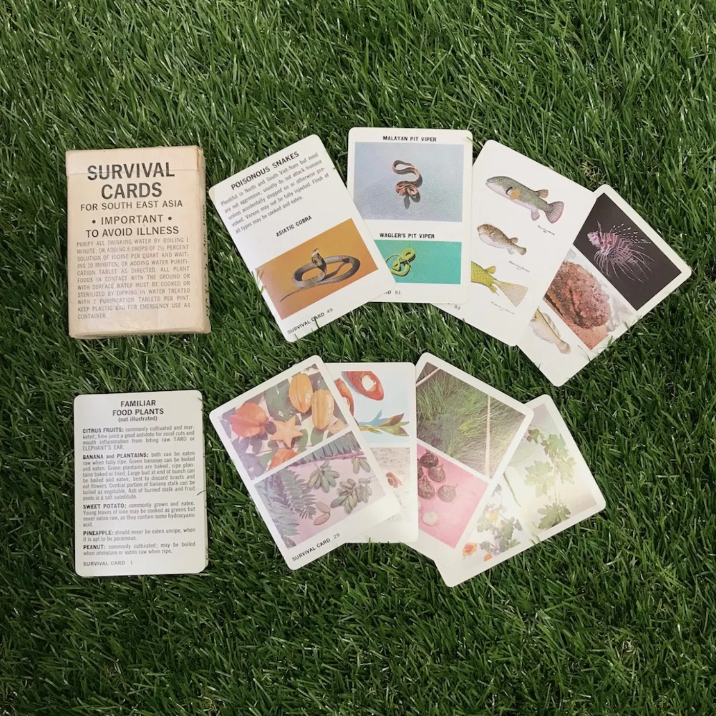 SURVIVAL CARDS サバイバルカード 中古良品 記録写真4
