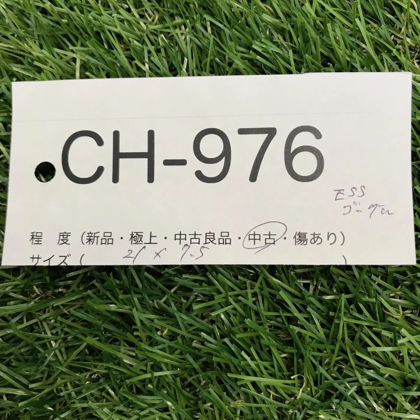 ESS ゴーグル ジャンク品 記録写真9