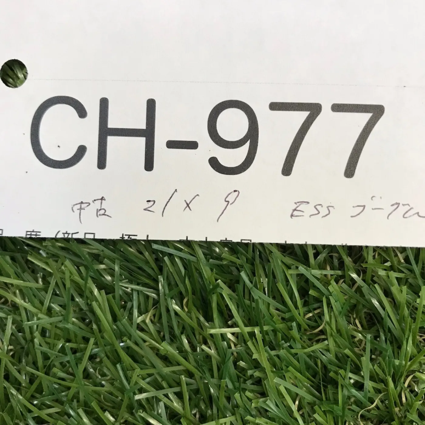 ESS ゴーグル ジャンク品 記録写真11