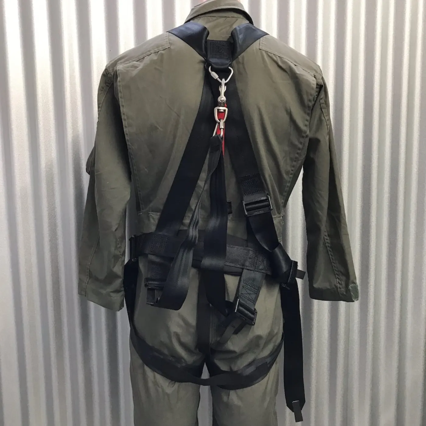 SCHROTH HARNESS 極上品 記録写真3