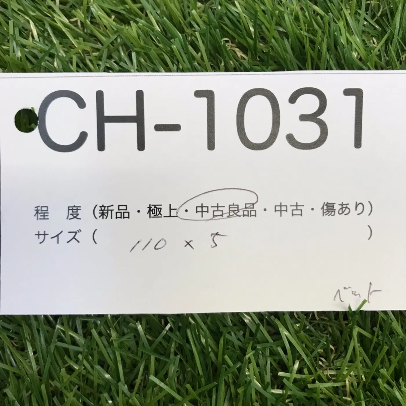 ストラップベルト 中古良品 記録写真6
