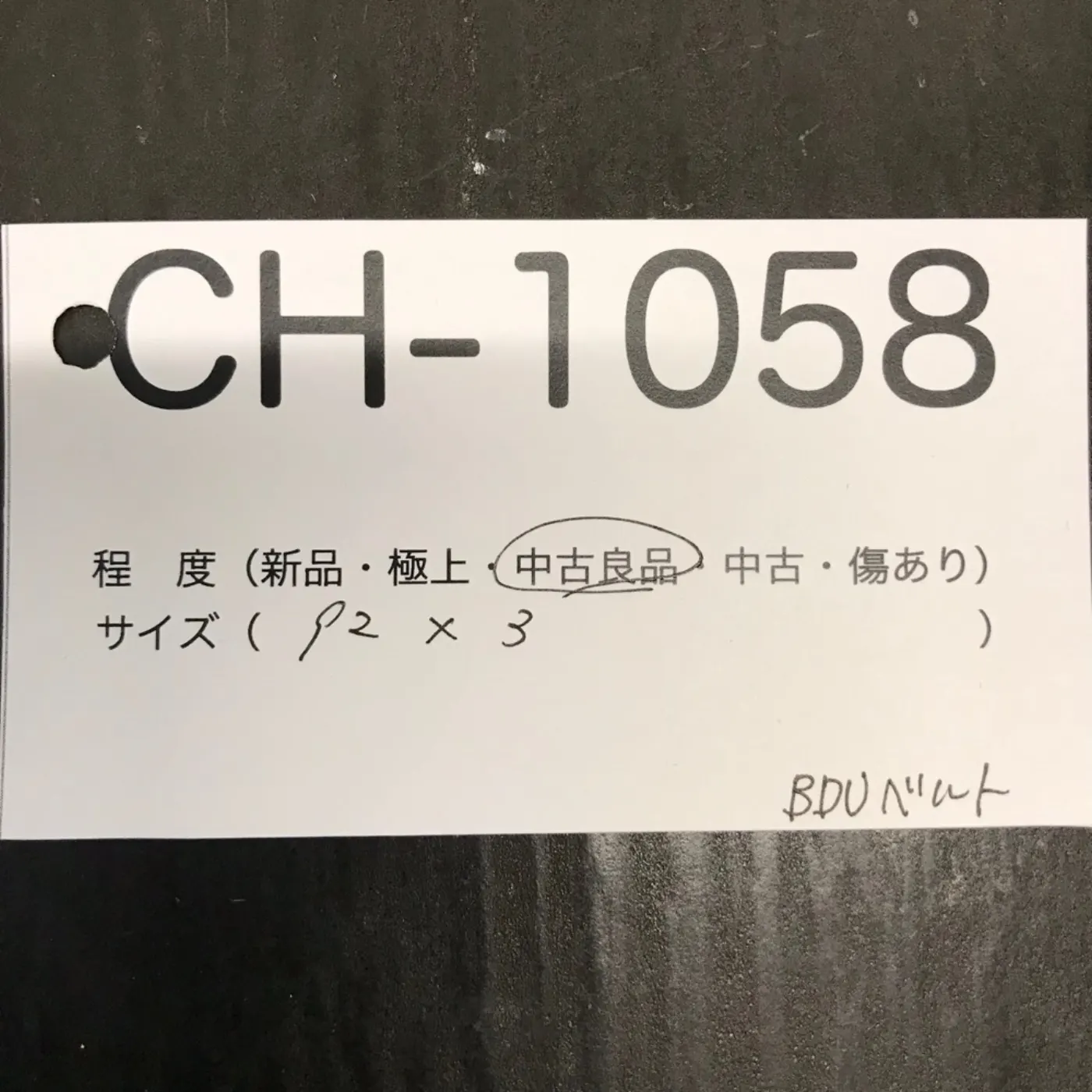 デザートベルト 中古品 記録写真5
